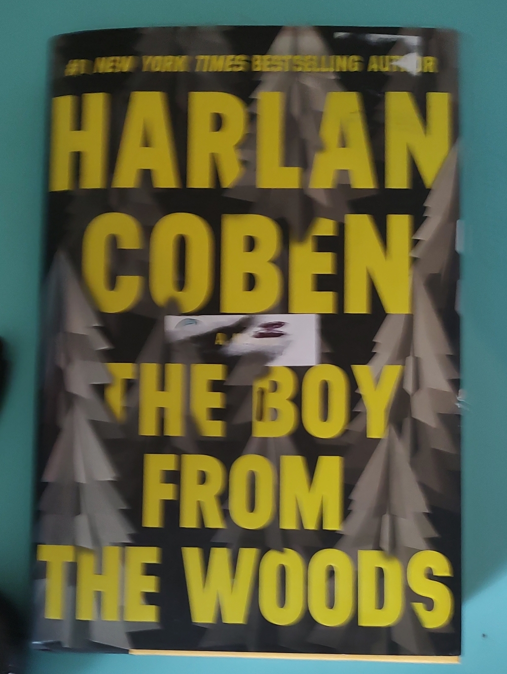 The Boy From The Woods By Harlan Coben